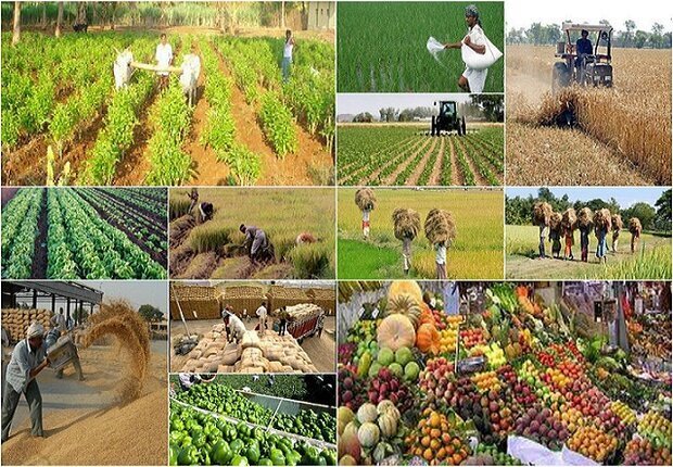 Raw Materials Supply